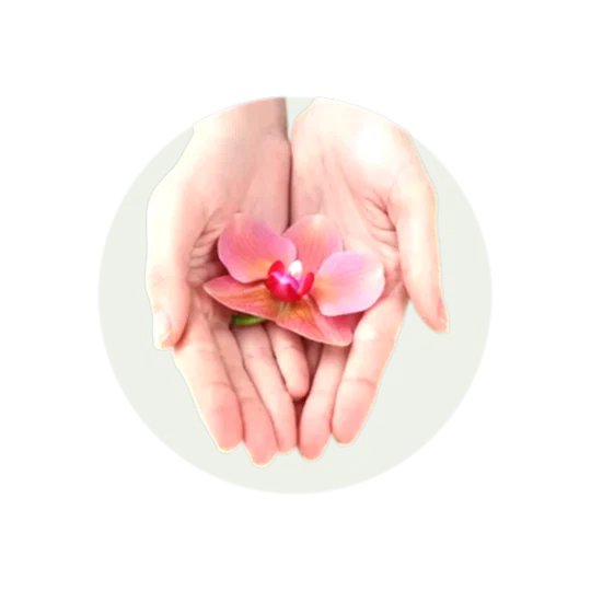 a pair of hands holding a flower