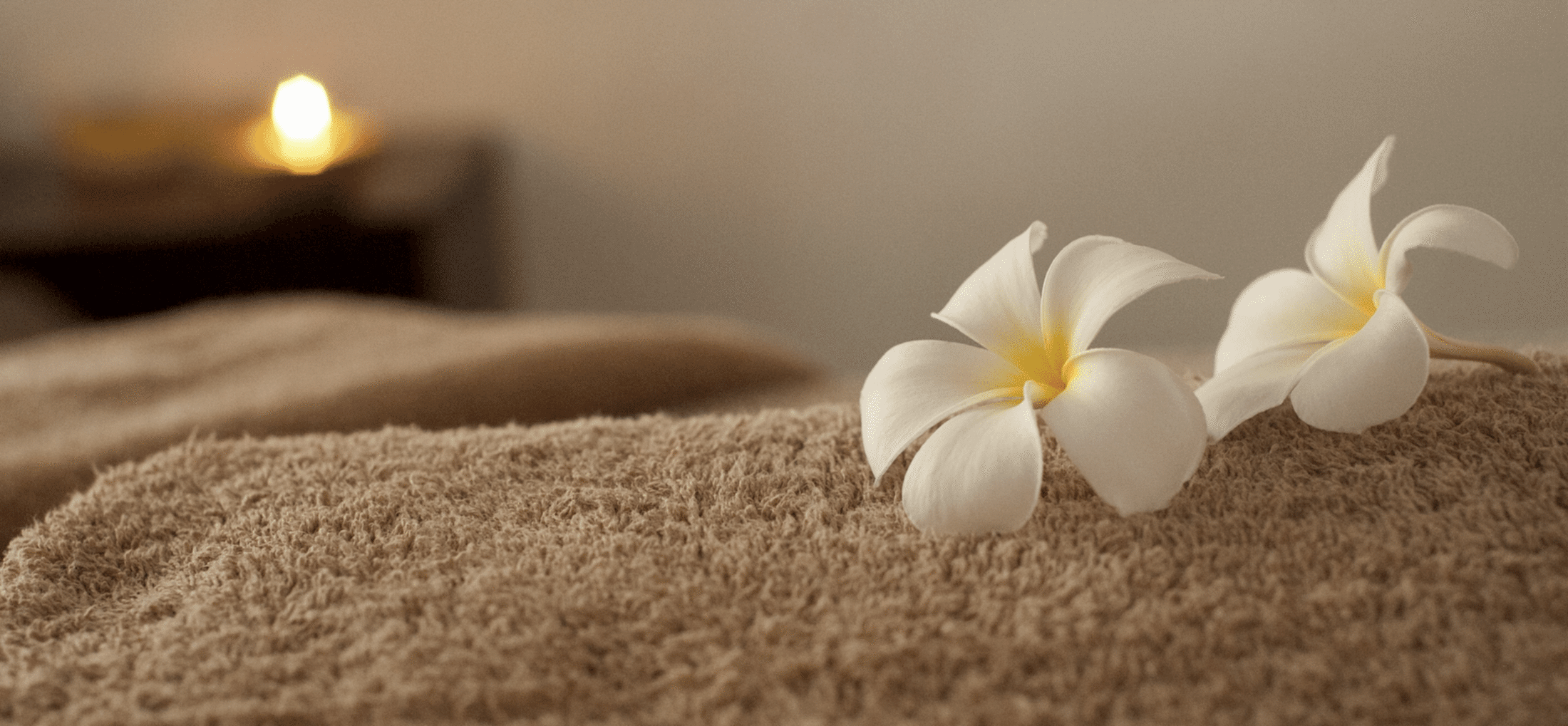 Lily on brown NUSPA towel